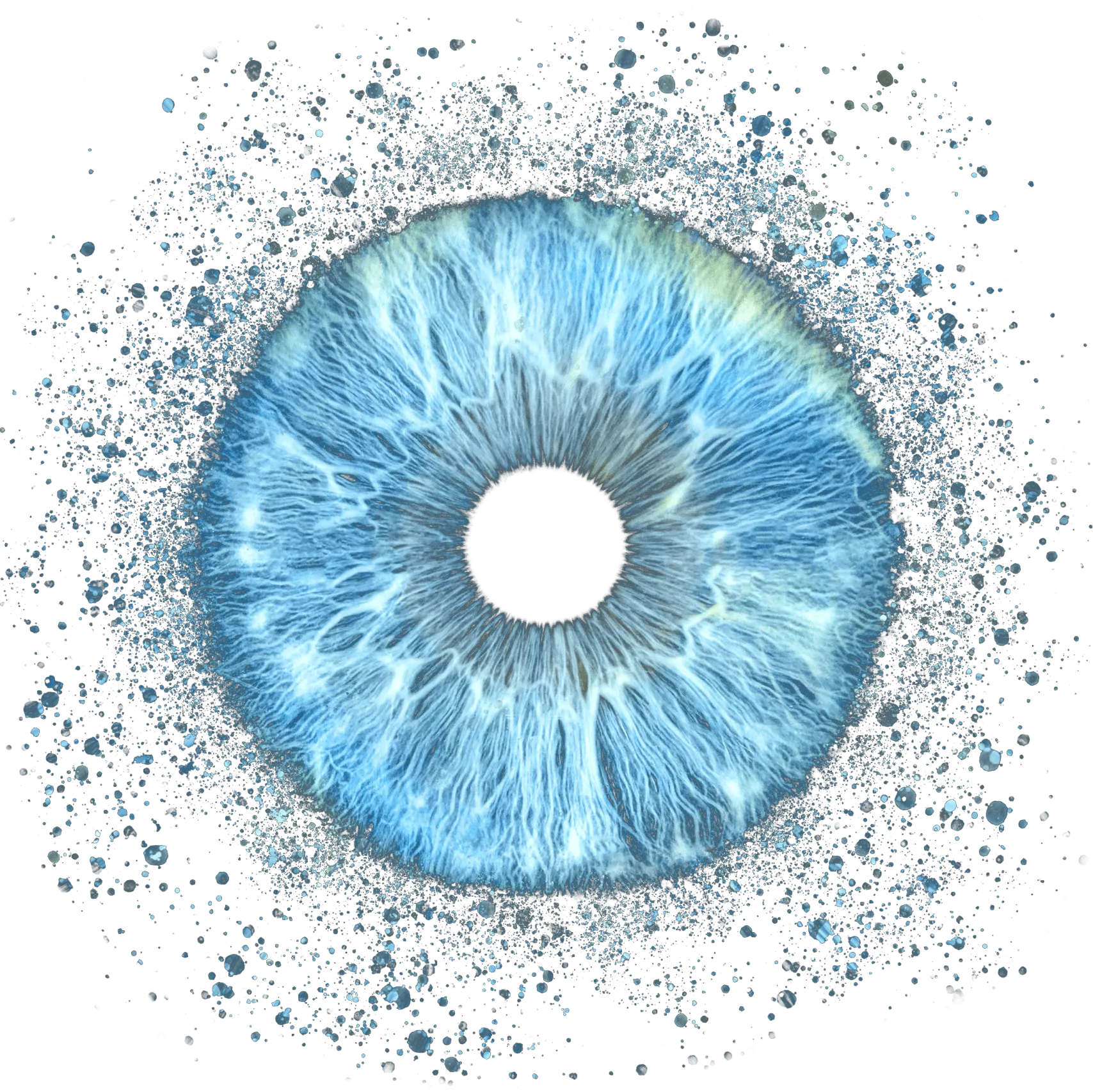 Your Iris, A Masterpiece Revealed